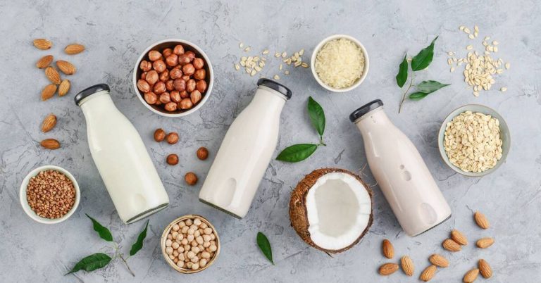 Finding the Right Milk: A Nutritional Guide to Your Dairy and Non-Dairy Options