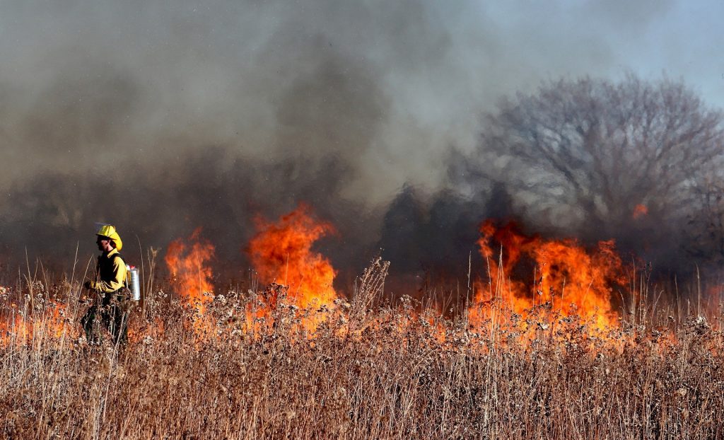 Comparing Los Angeles Wildfires to Colorado’s Marshall Fire