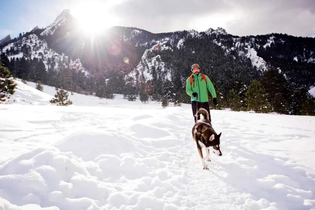 Protect Your Pets- Arapahoe County Offers Winter Safety Tips for Dogs1