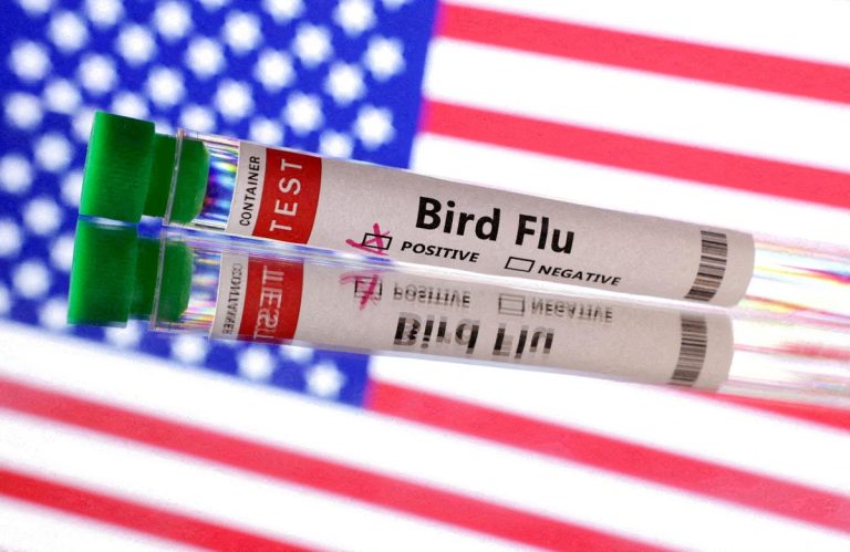 US Reports First Human Death from Bird Flu as Virus Raises Global Concerns