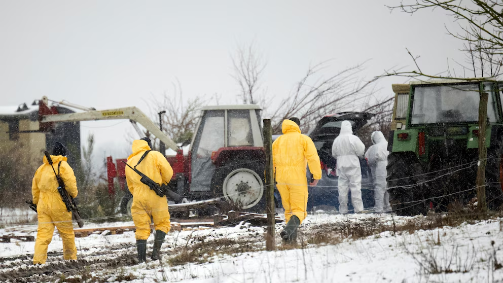 Animal Transport Ban in Brandenburg After Foot-and-Mouth Disease Found