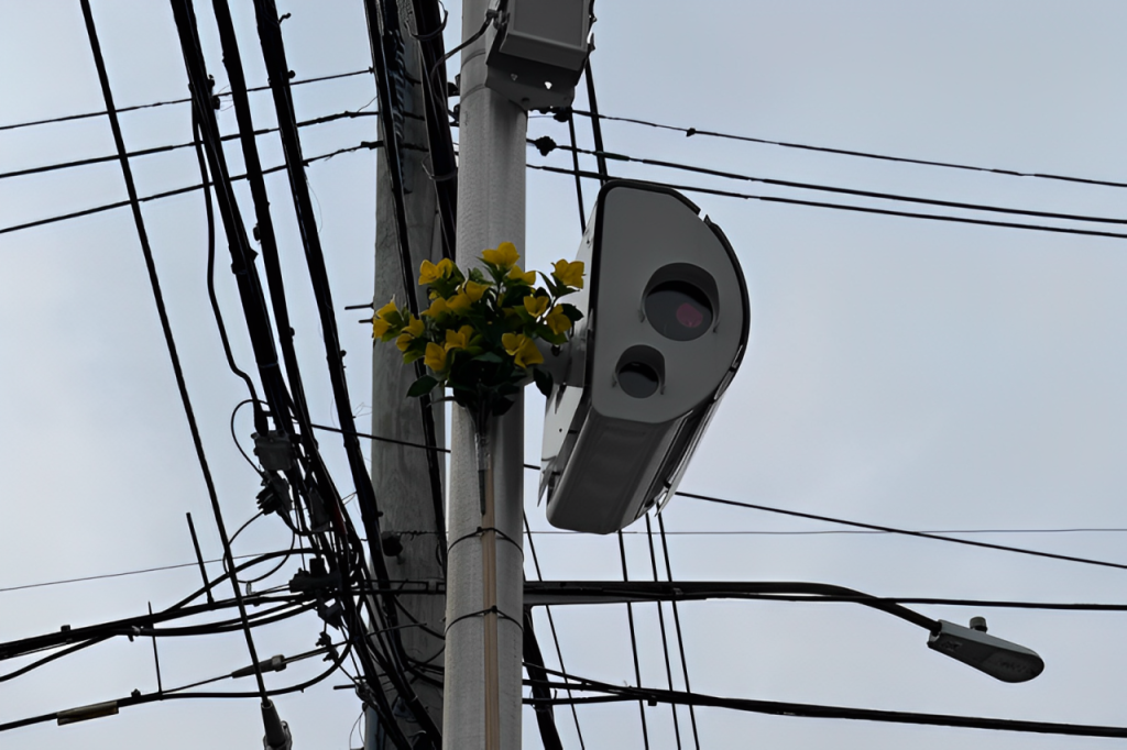 Staten Island Residents Use Fake Flowers to Block Speed Cameras, But Is It Legal?