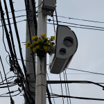 Staten Island Residents Use Fake Flowers to Block Speed Cameras, But Is It Legal?