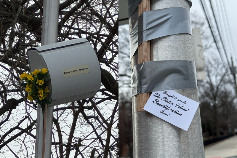 Staten Island Residents Use Fake Flowers to Block Speed Cameras, But Is It Legal?