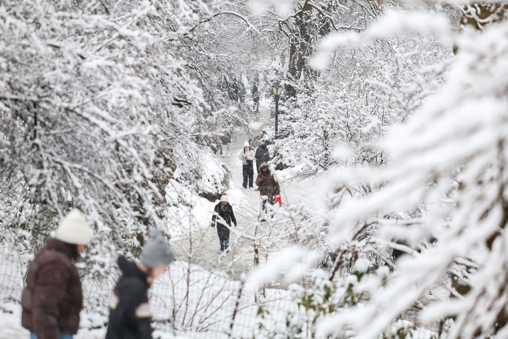 Travel Alert: Connecticut Faces Winter Storm with 7 Inches of Snow This Weekend