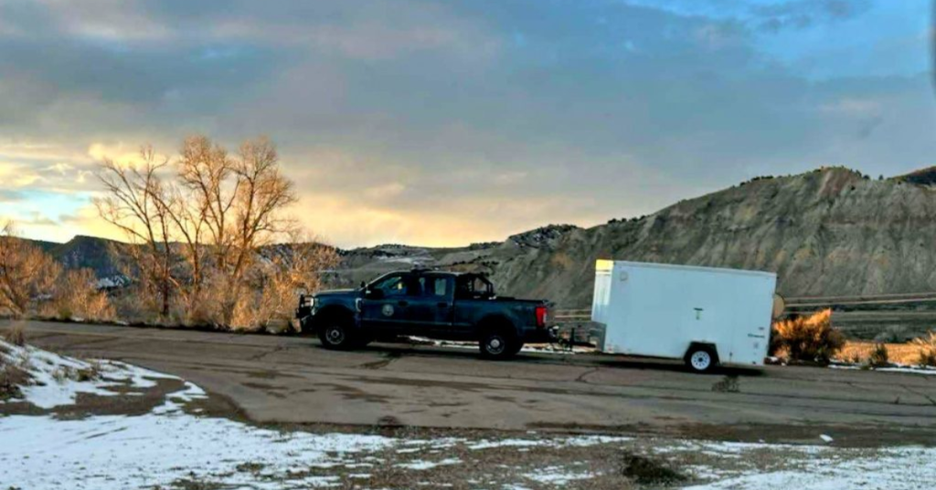 Wolves Set for Release in Colorado's Pitkin, Eagle, or Garfield Counties—Details Revealed Soon