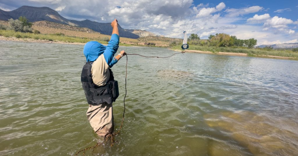 Colorado River at Risk: Zebra Mussel Invasion Could Affect Agriculture and Water Supply